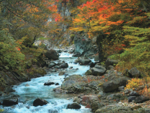 紅葉時期の滝の写真