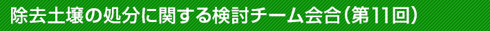 除去土壌の処分に関する検討チーム会合（第11回）