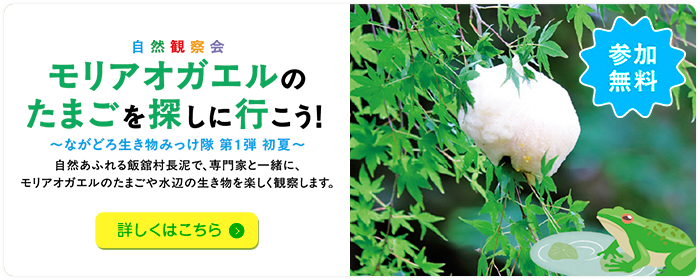 自然観察会モリアオガエルのたまごを探しに行こう