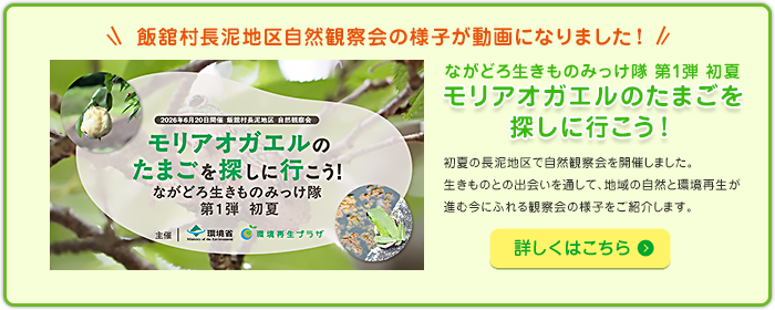飯舘村長泥地区 自然観察会（2026年6月20日開催）モリアオガエルのたまごを探しに行こう！～ながどろ生きものみっけ隊 第1弾 初夏～