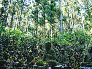 五智如来（七人坊主）の写真