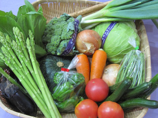 特産品の野菜の写真